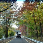 Delayed Fall Foliage Season Arrives with Promise of Color